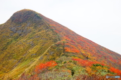 錦秋の東北ﾏｯﾀｰﾎﾝ山行-2