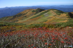 秋の山行2019y-7