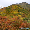 朝日連峰秋の中ﾂﾙ尾根山行-5