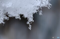 小さな結晶