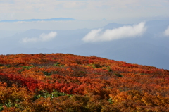 全山紅葉-2