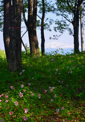 西山散策-2