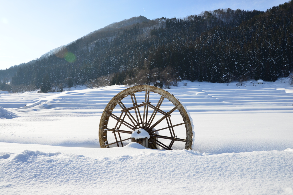 雪溶けを待って