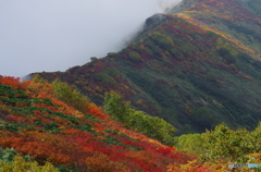 錦秋の朝日連峰山行-11