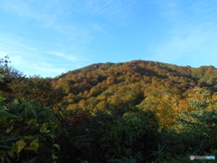 秋の朝日連峰山行-6