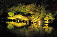 夜の養浩館庭園