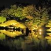 夜の養浩館庭園