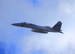 F-15J