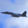 F-15J