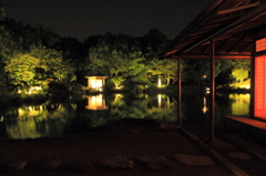 夜の養浩館庭園