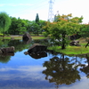紫式部公園 -平安調庭園-