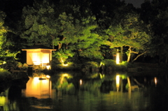 夜の養浩館庭園