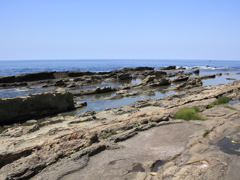 春の日本海　②