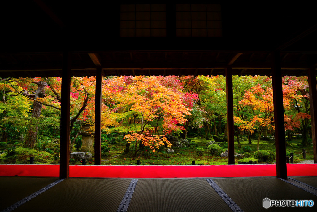 圓光寺・庭園