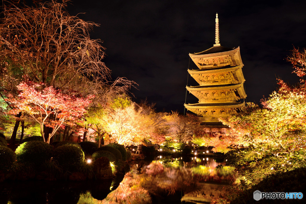 東寺ライトアップ