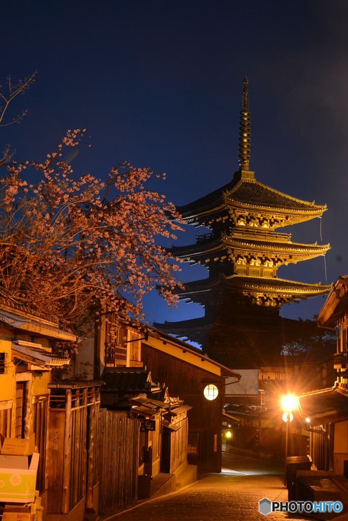八坂の塔に枝垂れ桜を添えて