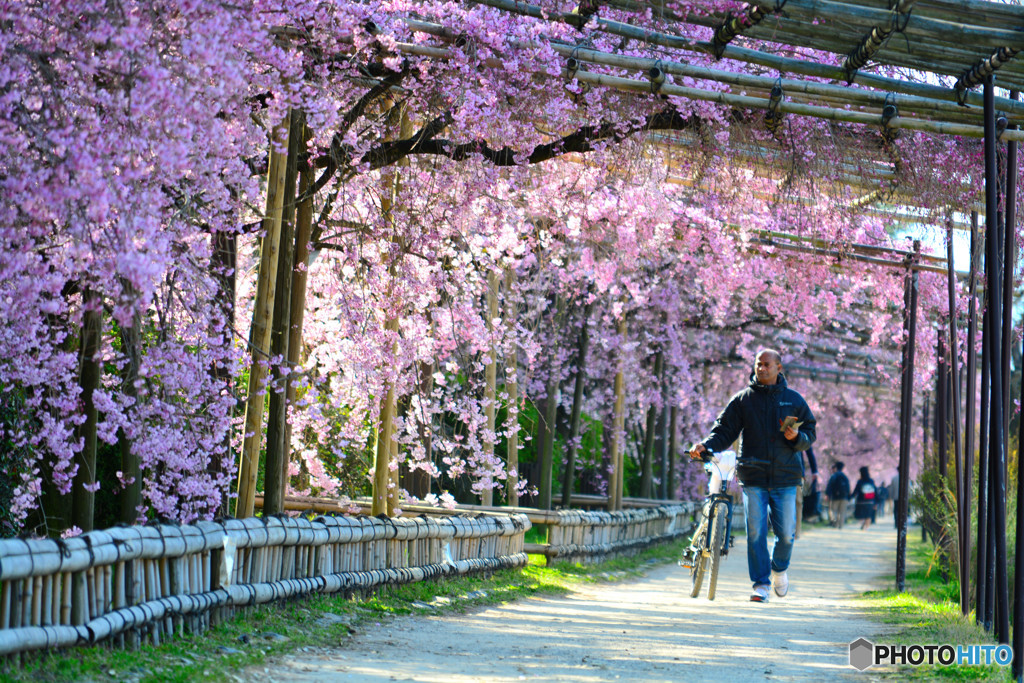 So beautiful…