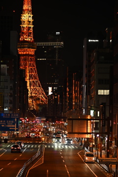 東京タワーのある風景