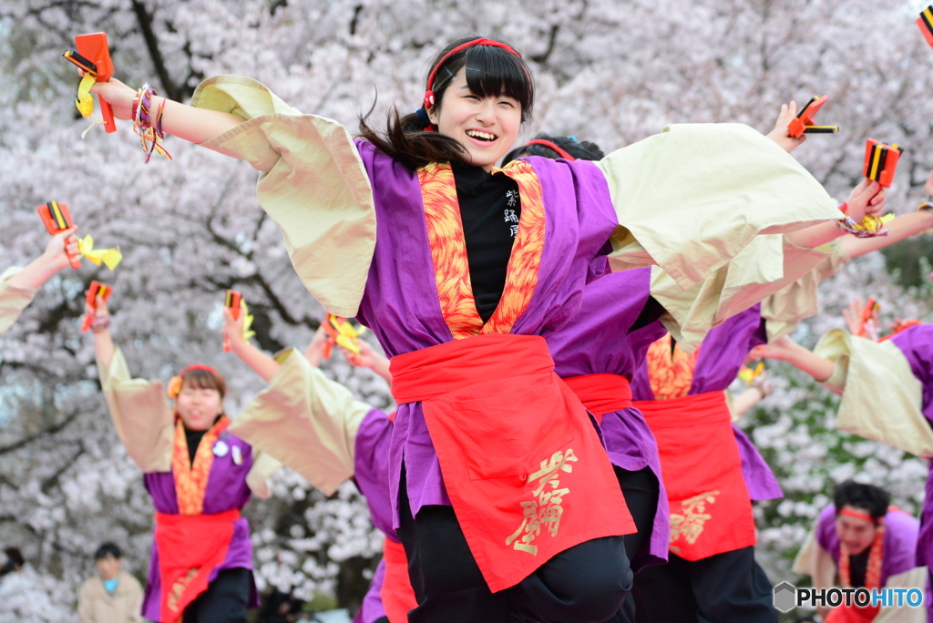 佛教大学 紫踊屋さん2