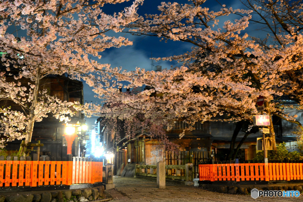 満開の巽橋