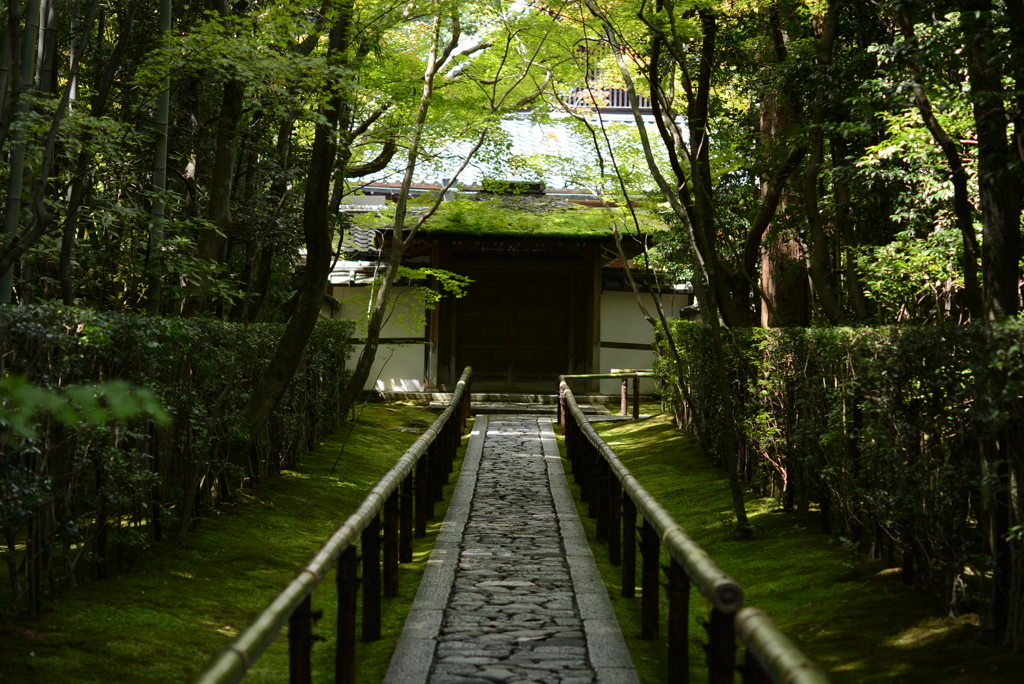 そうだ京都、行こう。