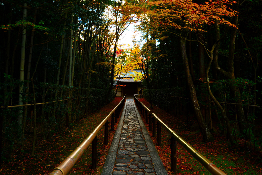 高桐院