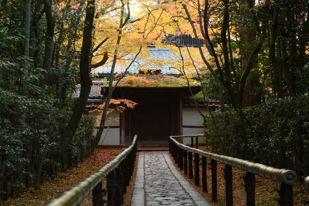 高桐院