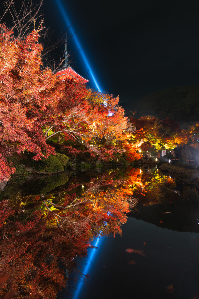 清水寺・放生池のリフレクション