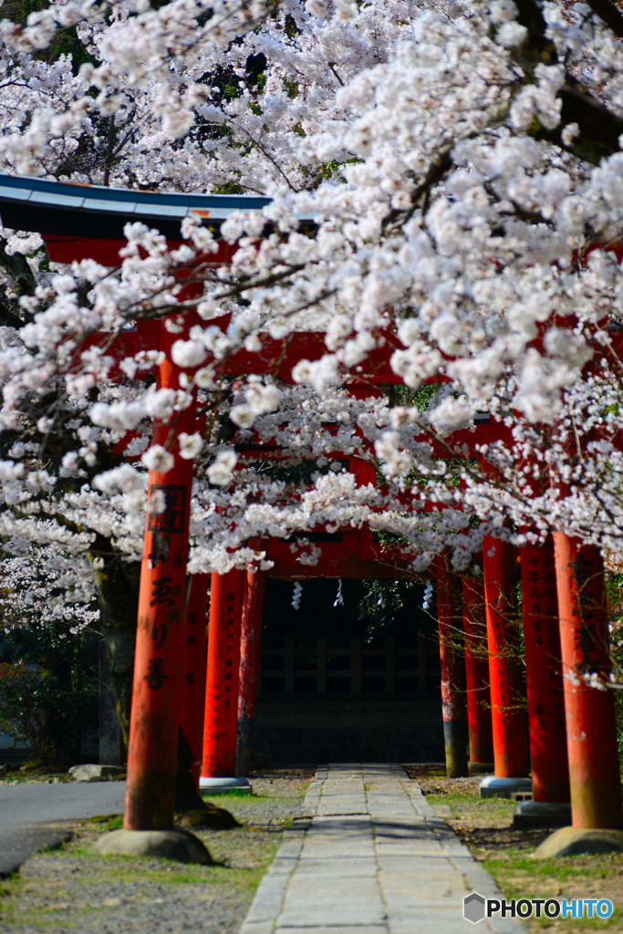 竹中稲荷神社