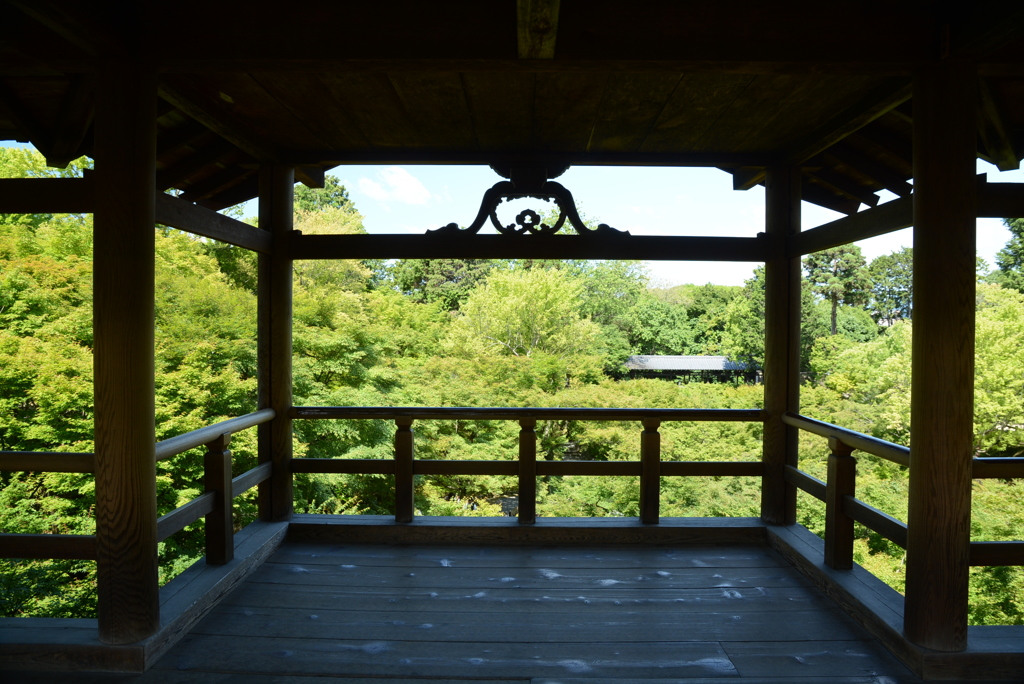 通天橋から見る青もみじ