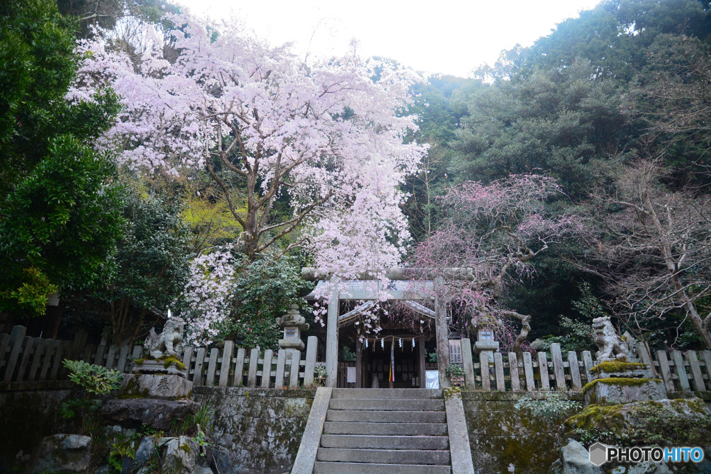 大豊神社