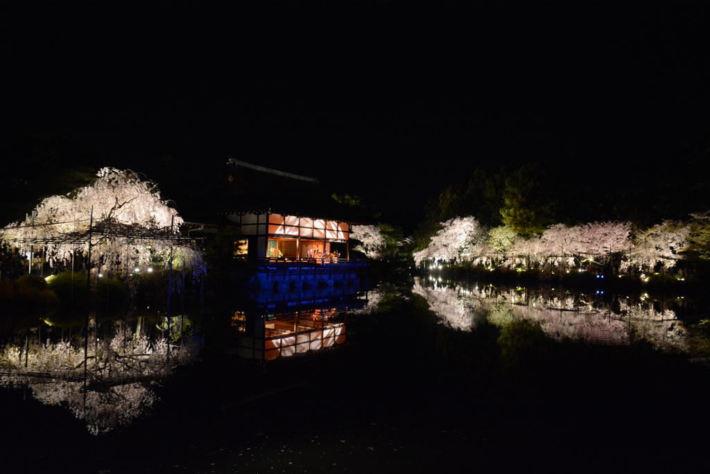 平安神宮　紅しだれコンサート2014