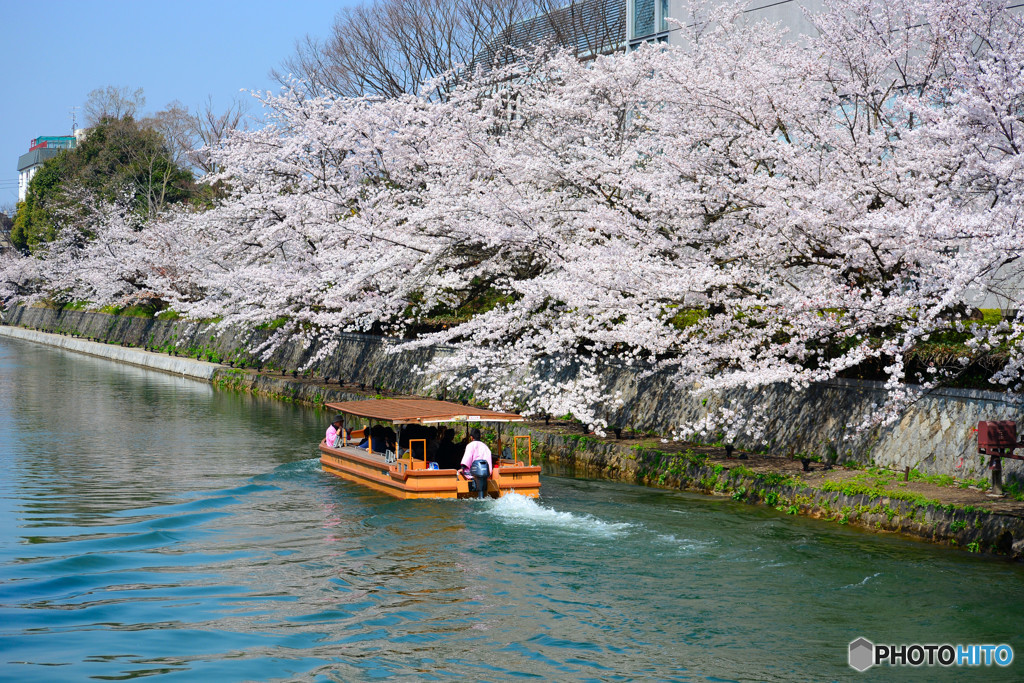 岡崎疎水