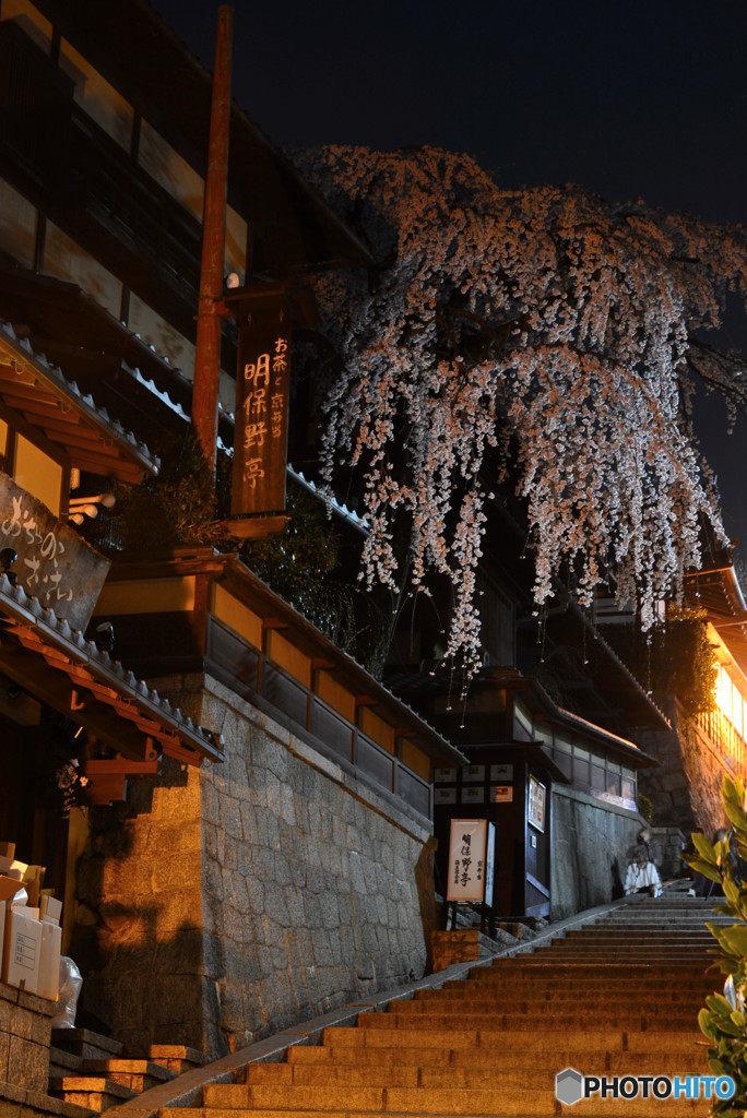 産寧坂の枝垂れ桜