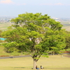 養老公園