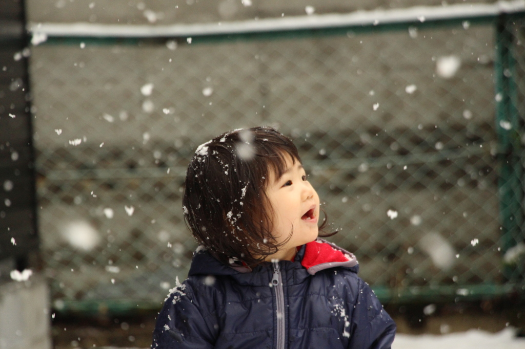 雪に喜ぶ。