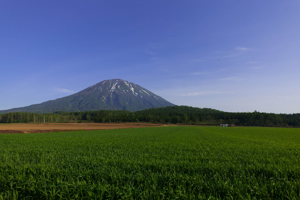 羊蹄山