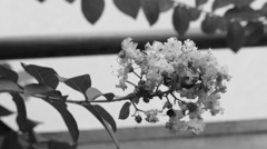 TEST SHOT 20140906