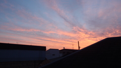 vanilla sky