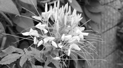 TEST SHOT 20140906