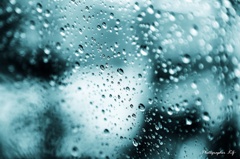 雨