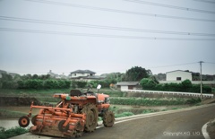 田植