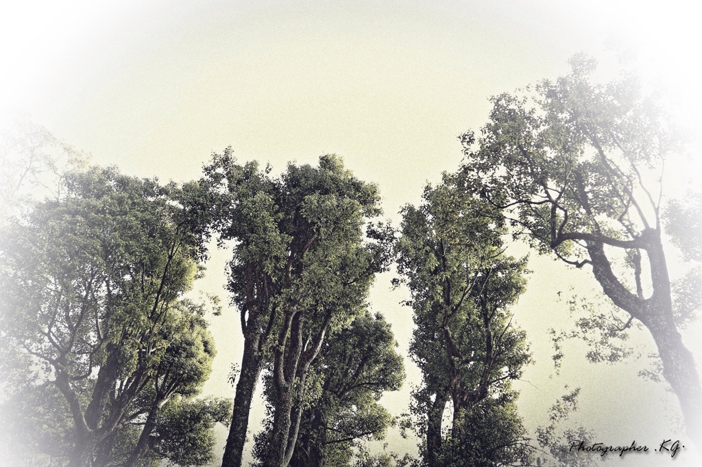 公園