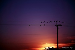 夕暮れ時は