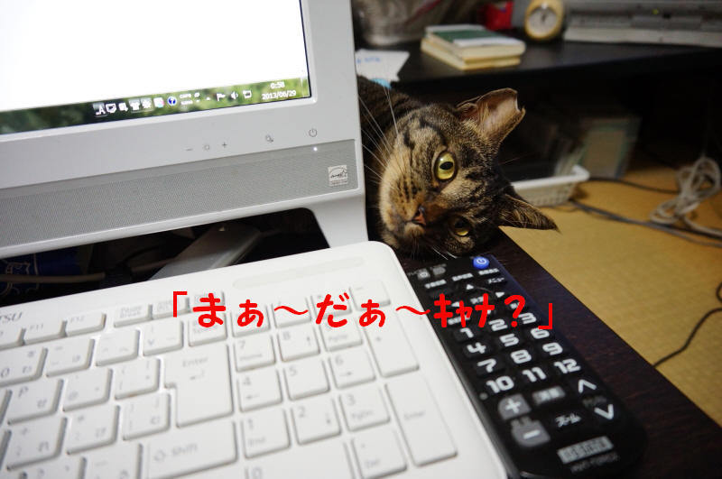チビたん８－３