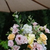 祝いの花。