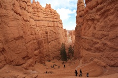 Switchback by Bryce Canyon