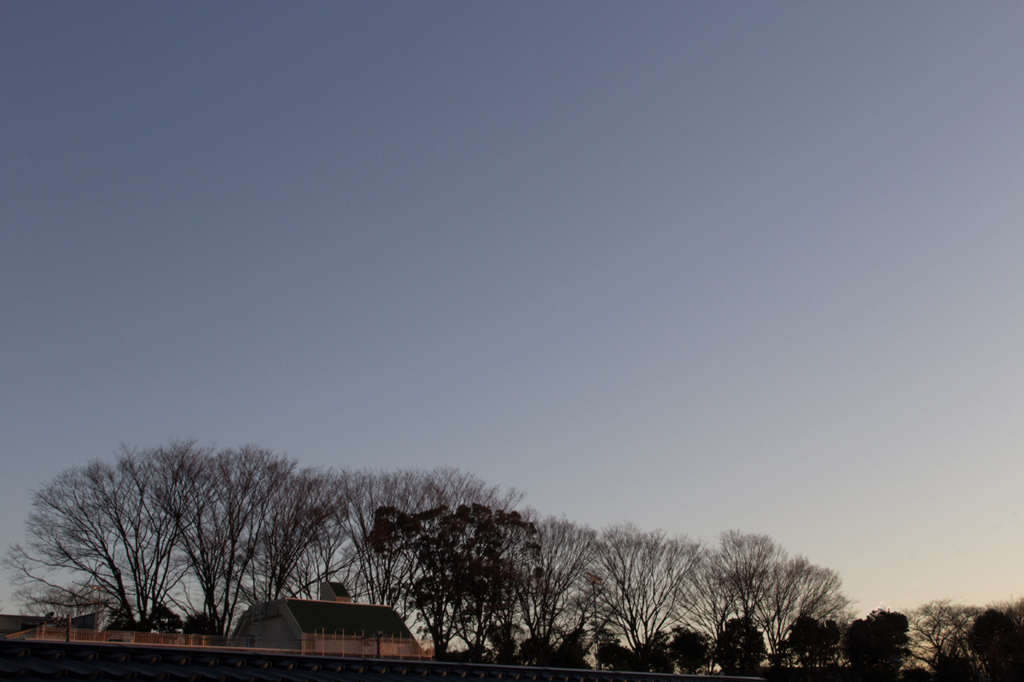 野毛山公園