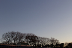 野毛山公園