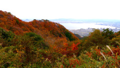 滋賀県